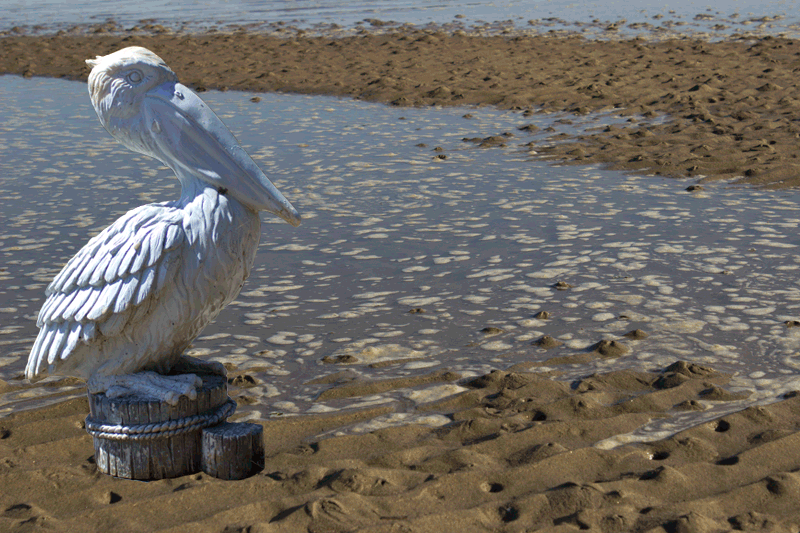 pelican-statue