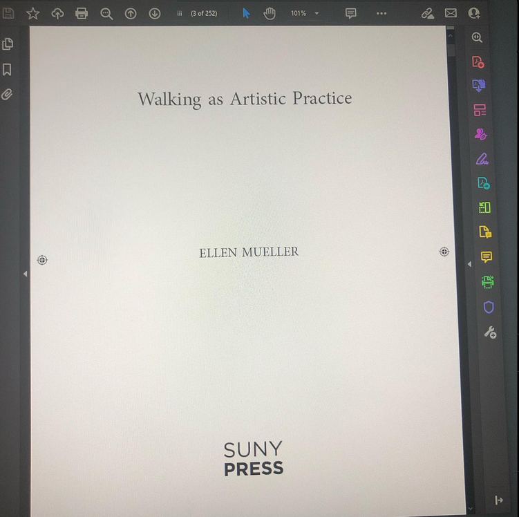 computer screen with title page of walking book