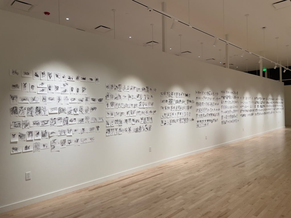gallery wall with many small drawings hung in a long grid