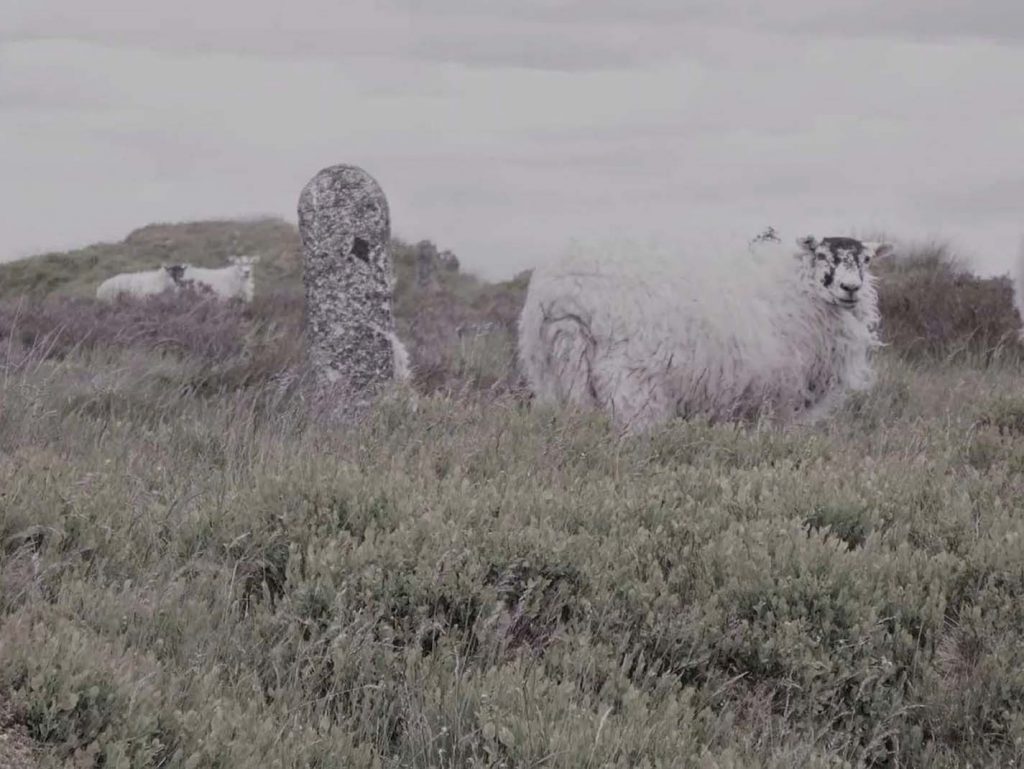 a stone post and a sheep on a hill